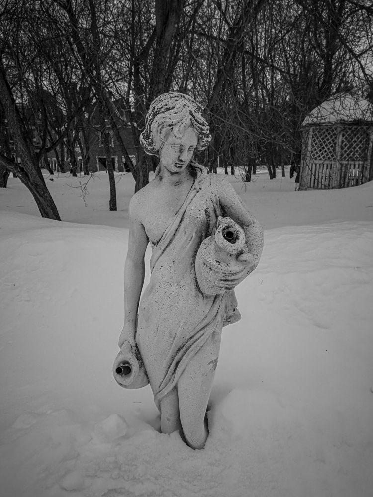 Photo #8862047