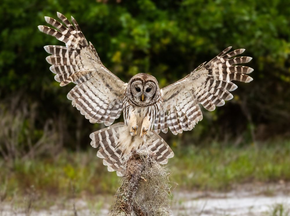 Photograph by Richard Sanchez