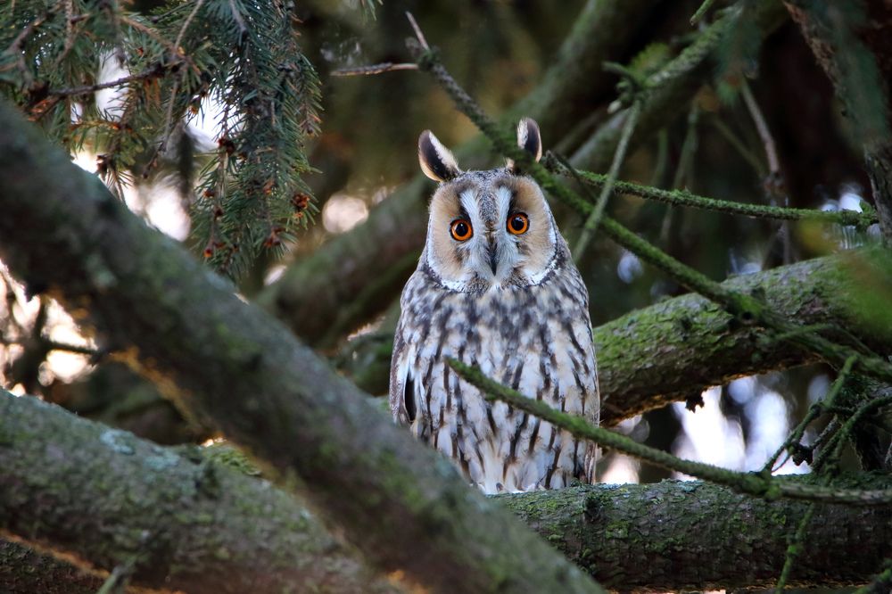 Photograph by Ковалевич А.