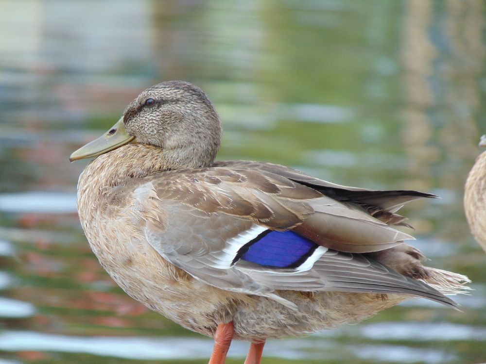 Photograph by Anna Veľasová