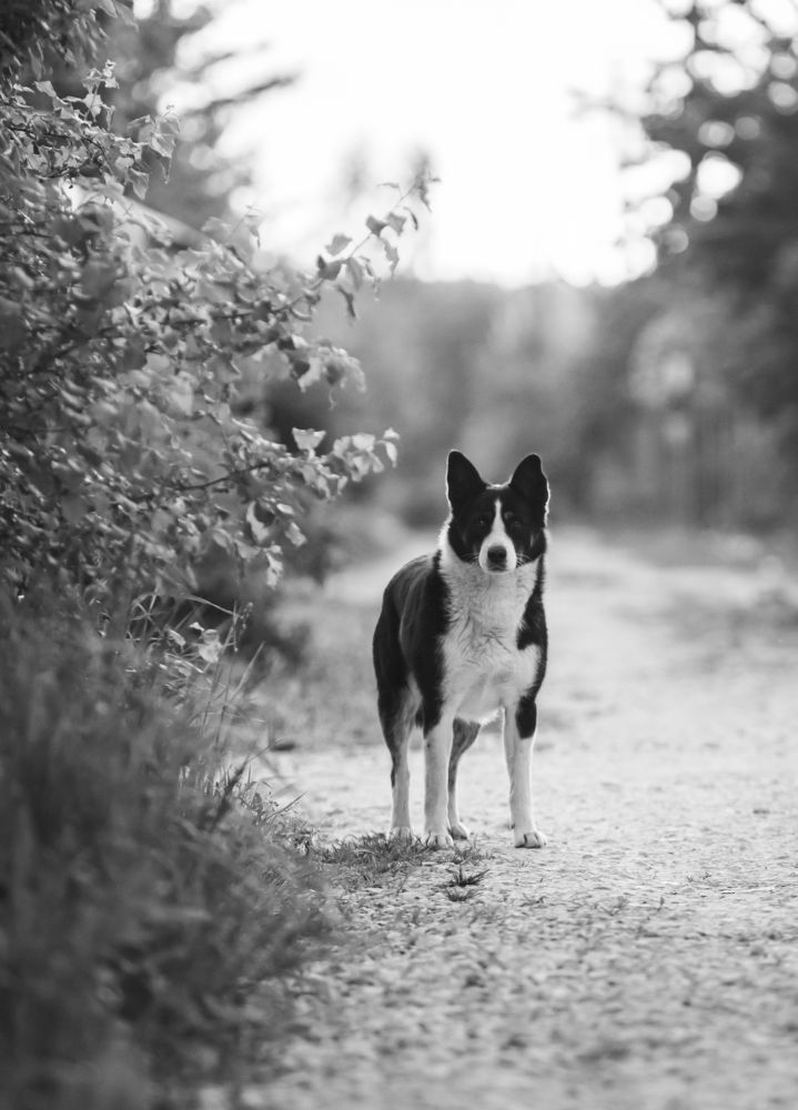 Photograph by Евдокия Спуре