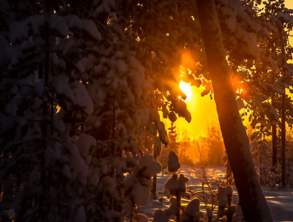 Photograph by Александр Бакин