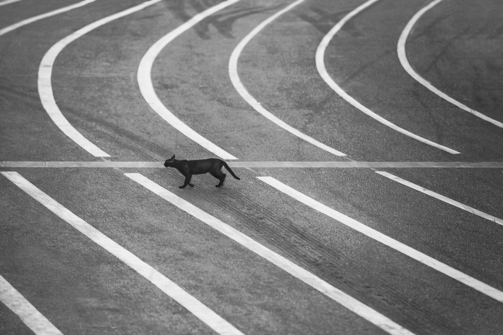 Photograph by Alasday Hasheim