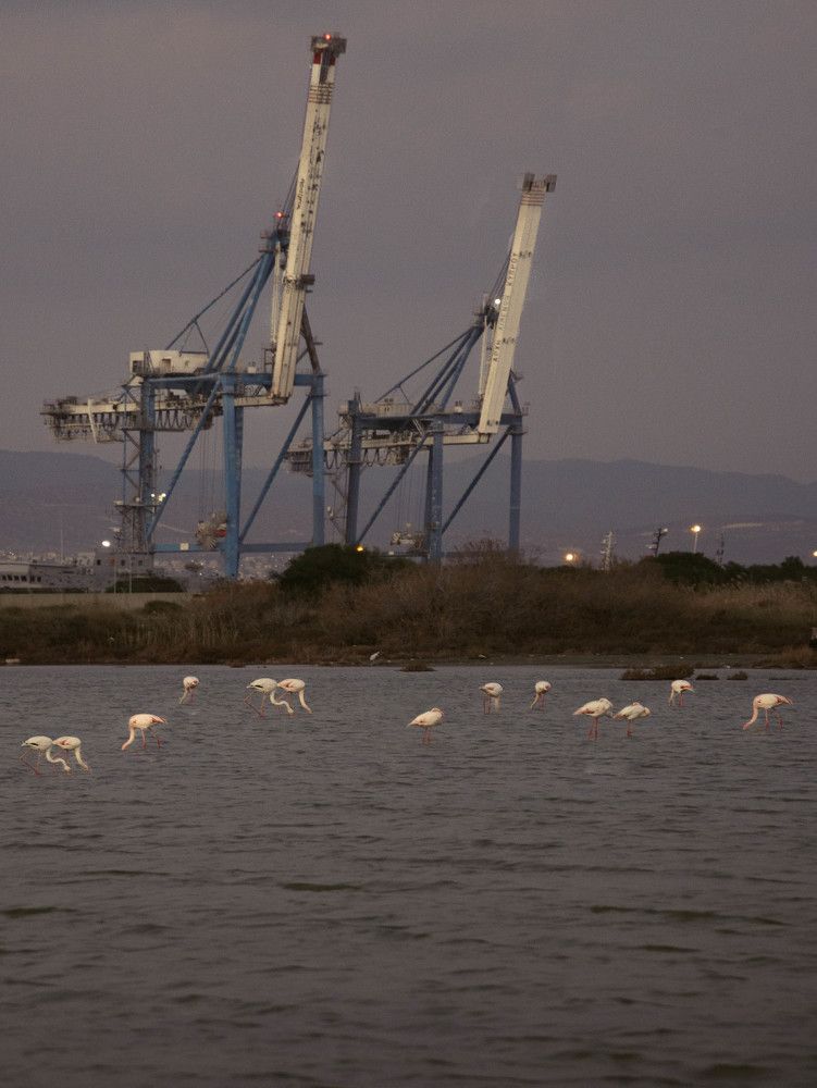 Photograph by Газетдинов Айрат