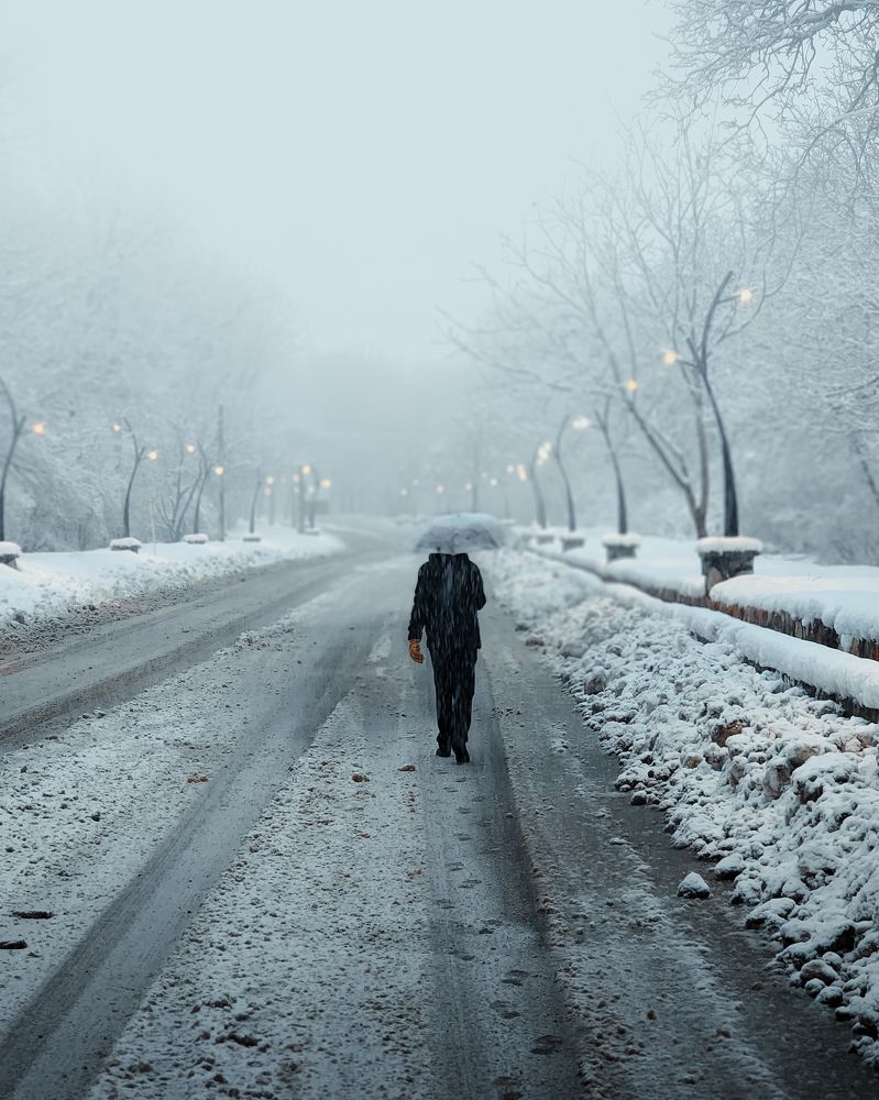 Photograph by Alireza Moghimi