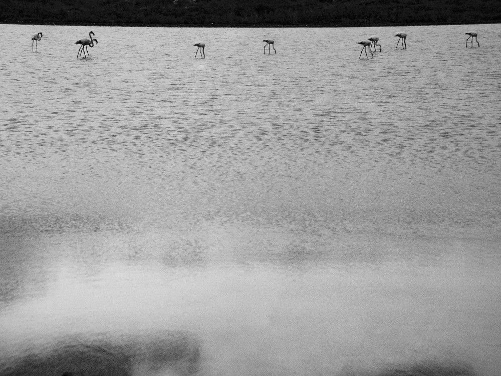 Photograph by Газетдинов Айрат