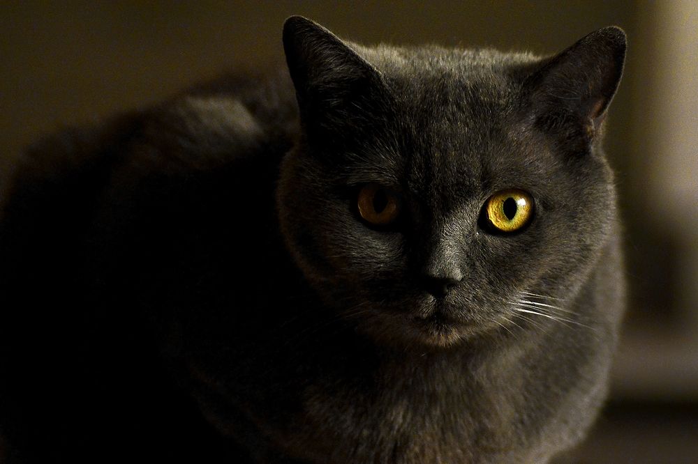 Photograph by Bob Gajdoš