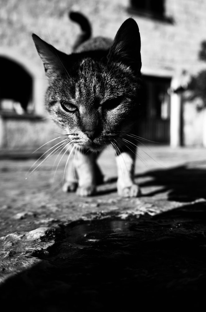 Photograph by Anna Mishina