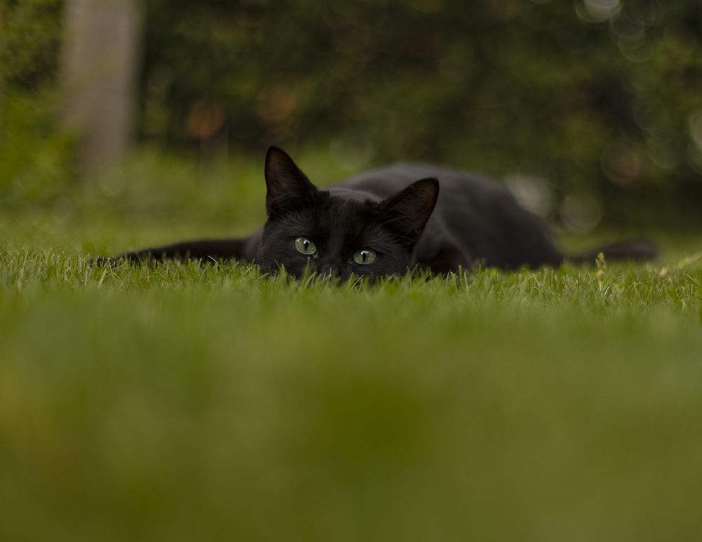 Photograph by Малика Маткарим