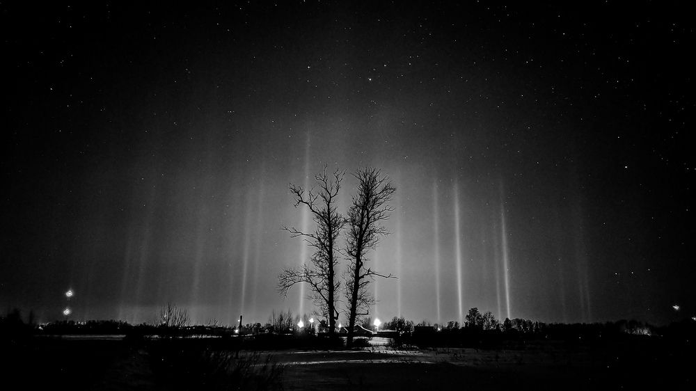 Photograph by Виталий Грачёв