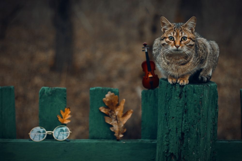 Photograph by Татьяна Исаева