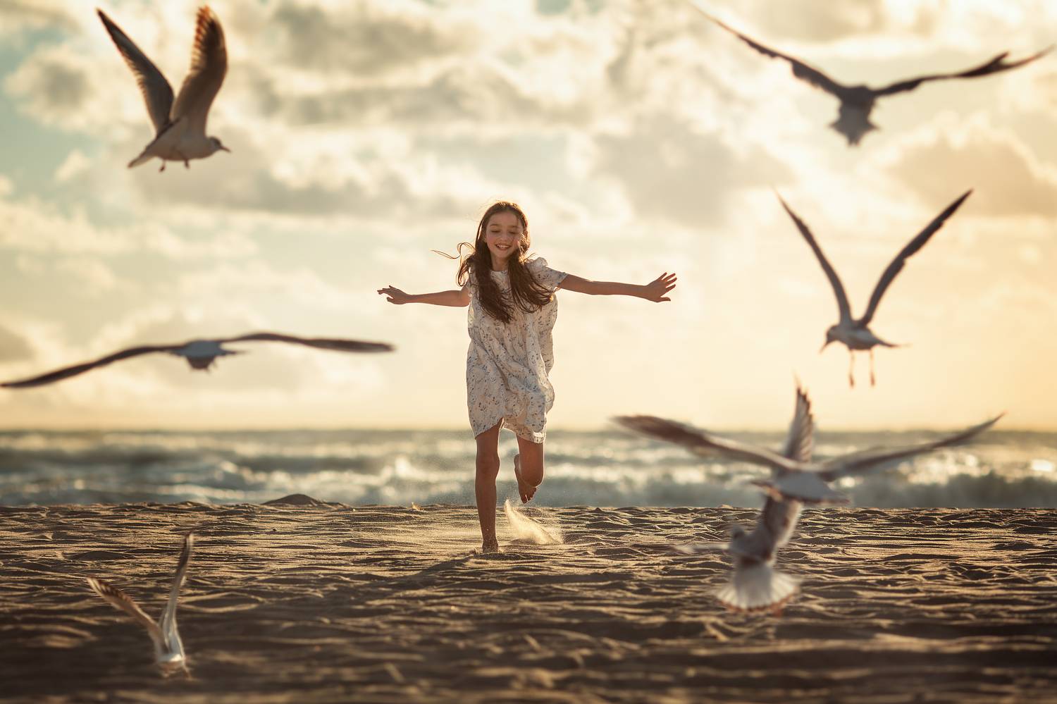 The girl and the seagulls
