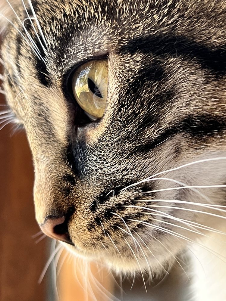 Фотография автора Veera Holdai