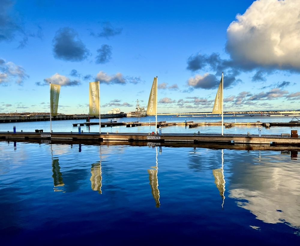 Фотография автора Veera Holdai