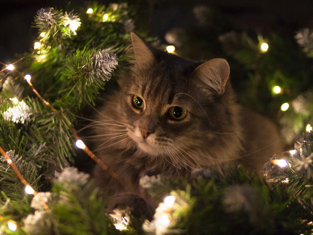 Photograph by Юлия Хрустальная