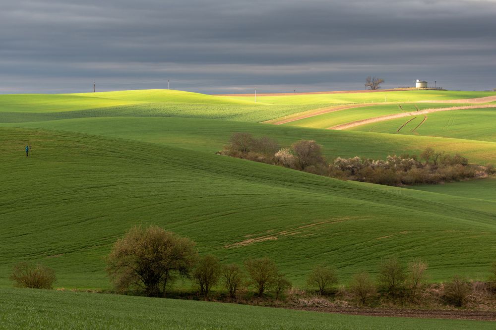 Photograph by Евгения Чех
