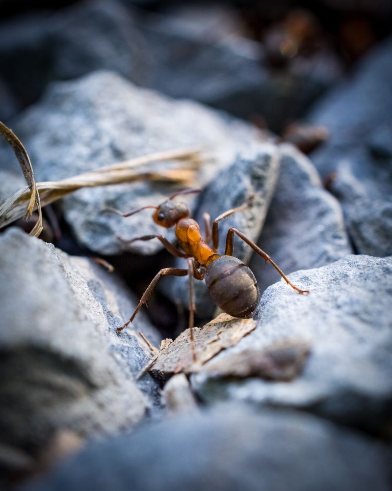 Photograph by Николай Головко