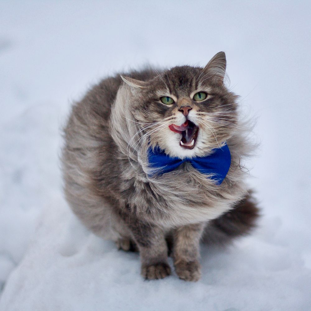 Photograph by Юлия Хрустальная