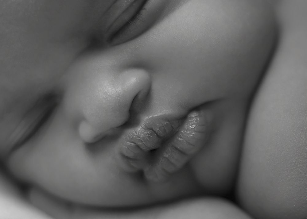 Photograph by Karen DLucca