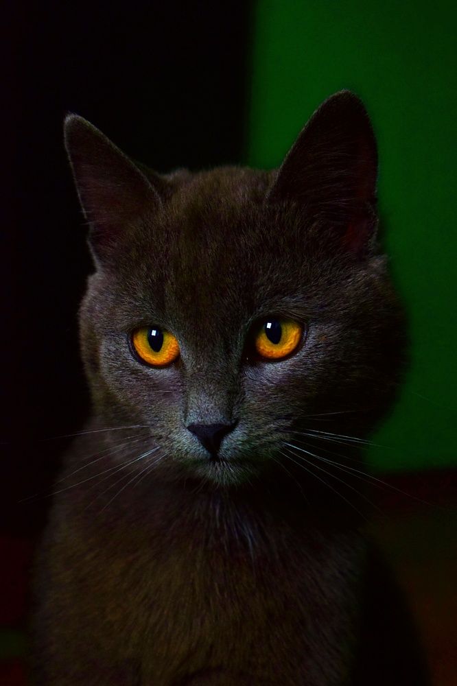 Photograph by Елена Процек