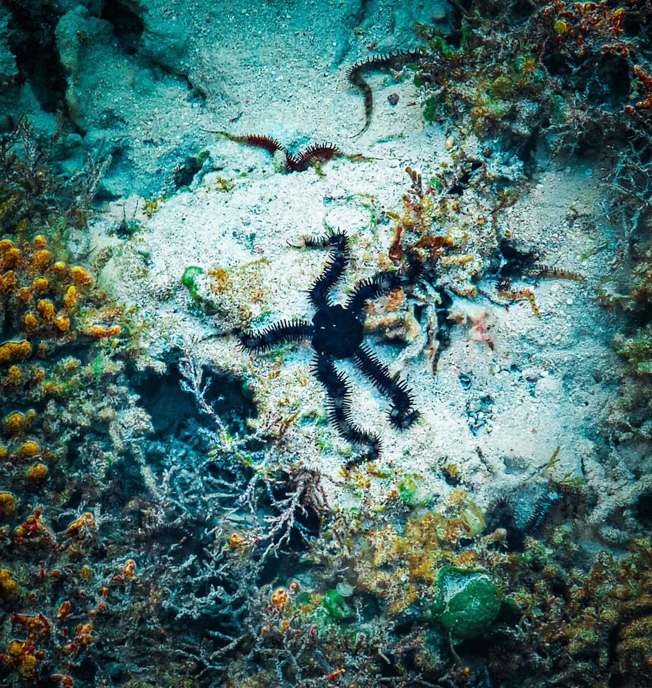 Photograph by Asmaa ELTouny