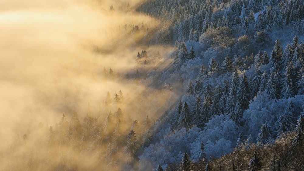 Фотография автора Michaela Vinterova