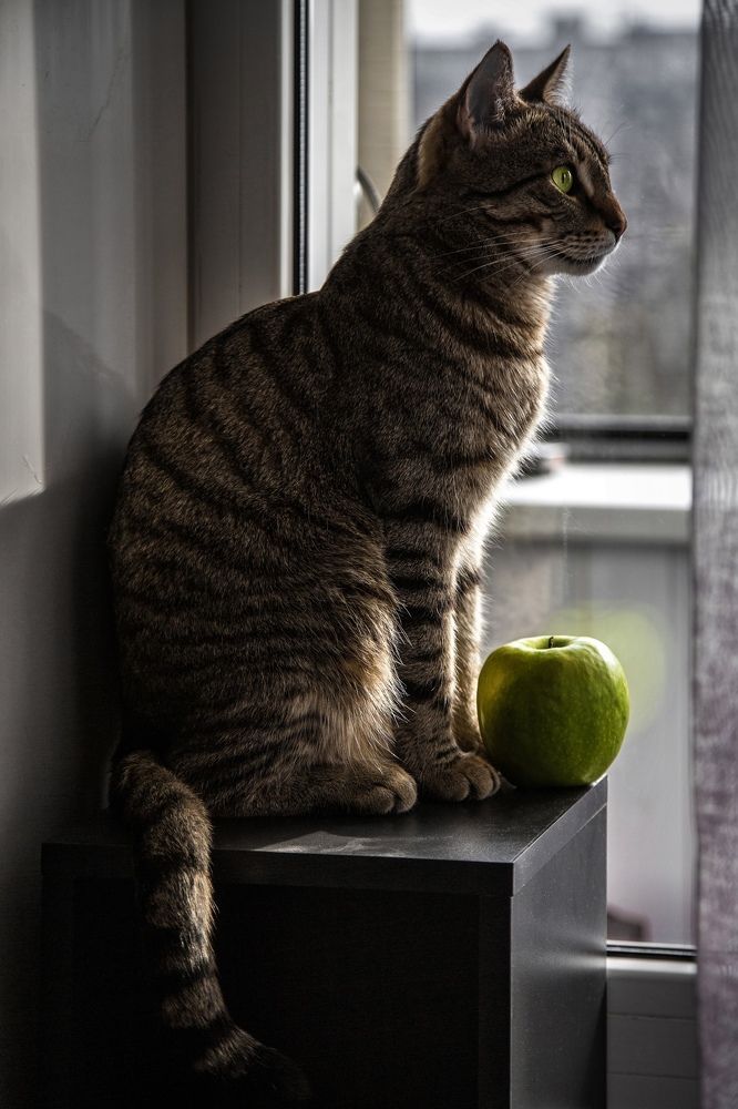 Photograph by Елена Андреева