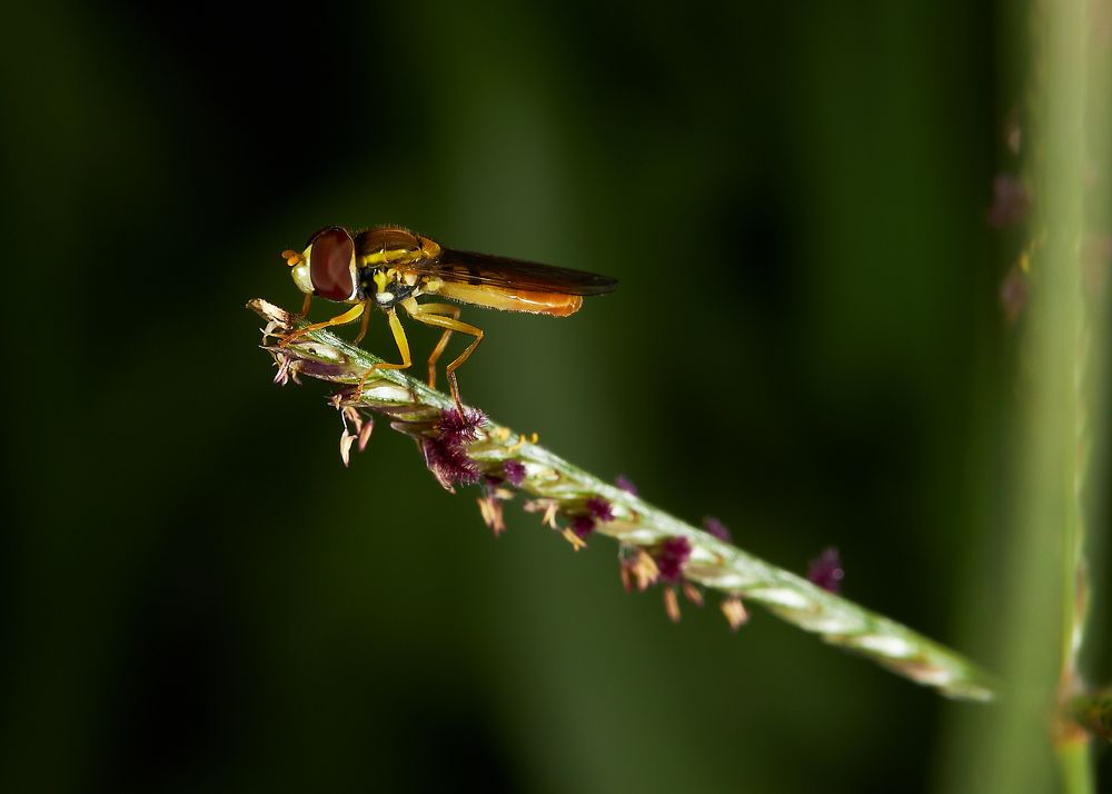 Photograph by Le Duy Ta