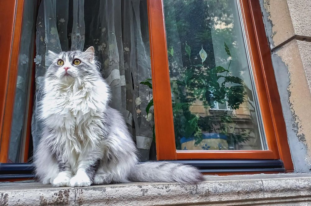 Photograph by Елена Шерман