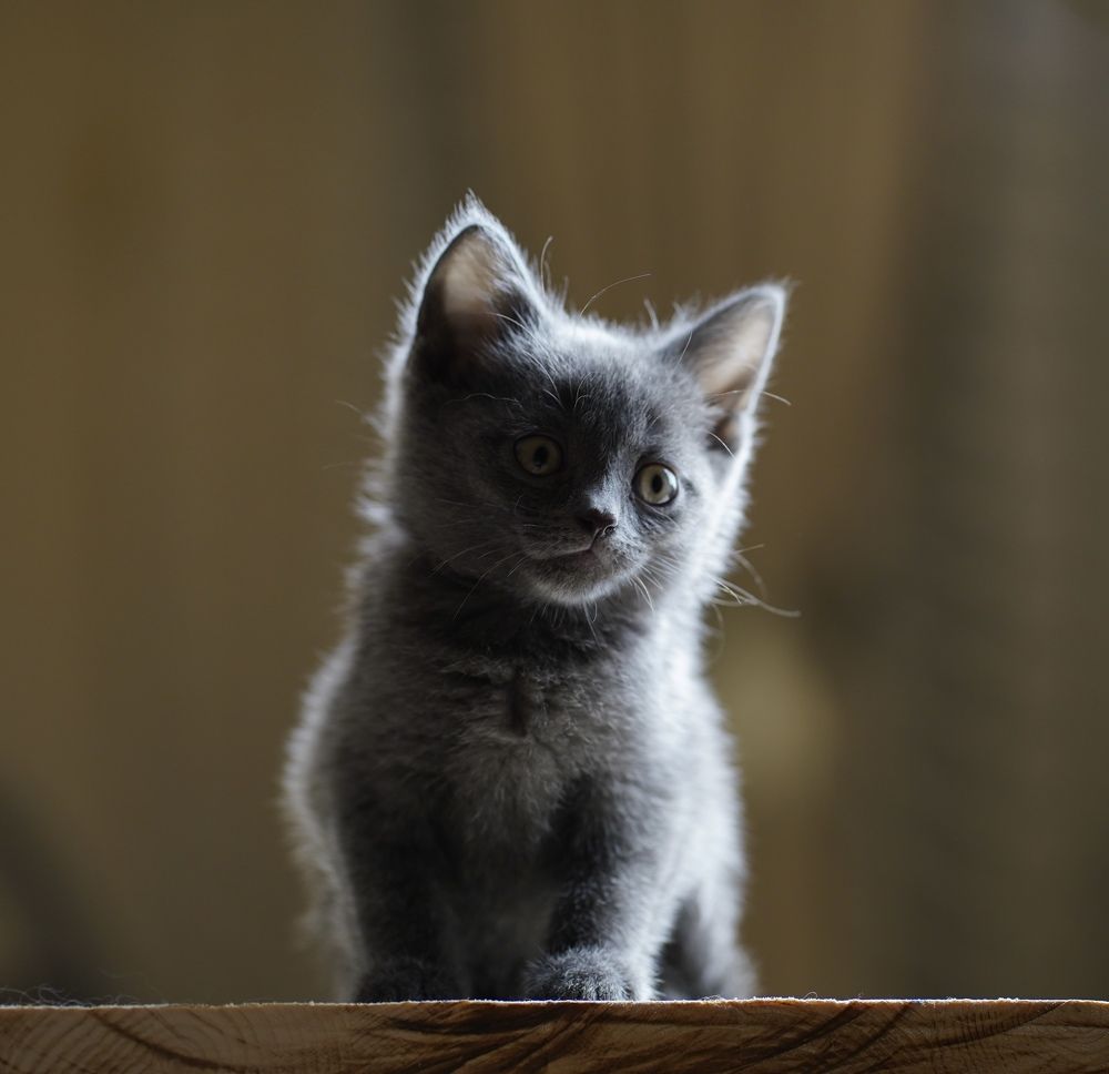 Фотография автора Валерия