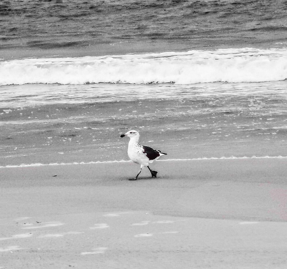 Photograph by Ivan Monges