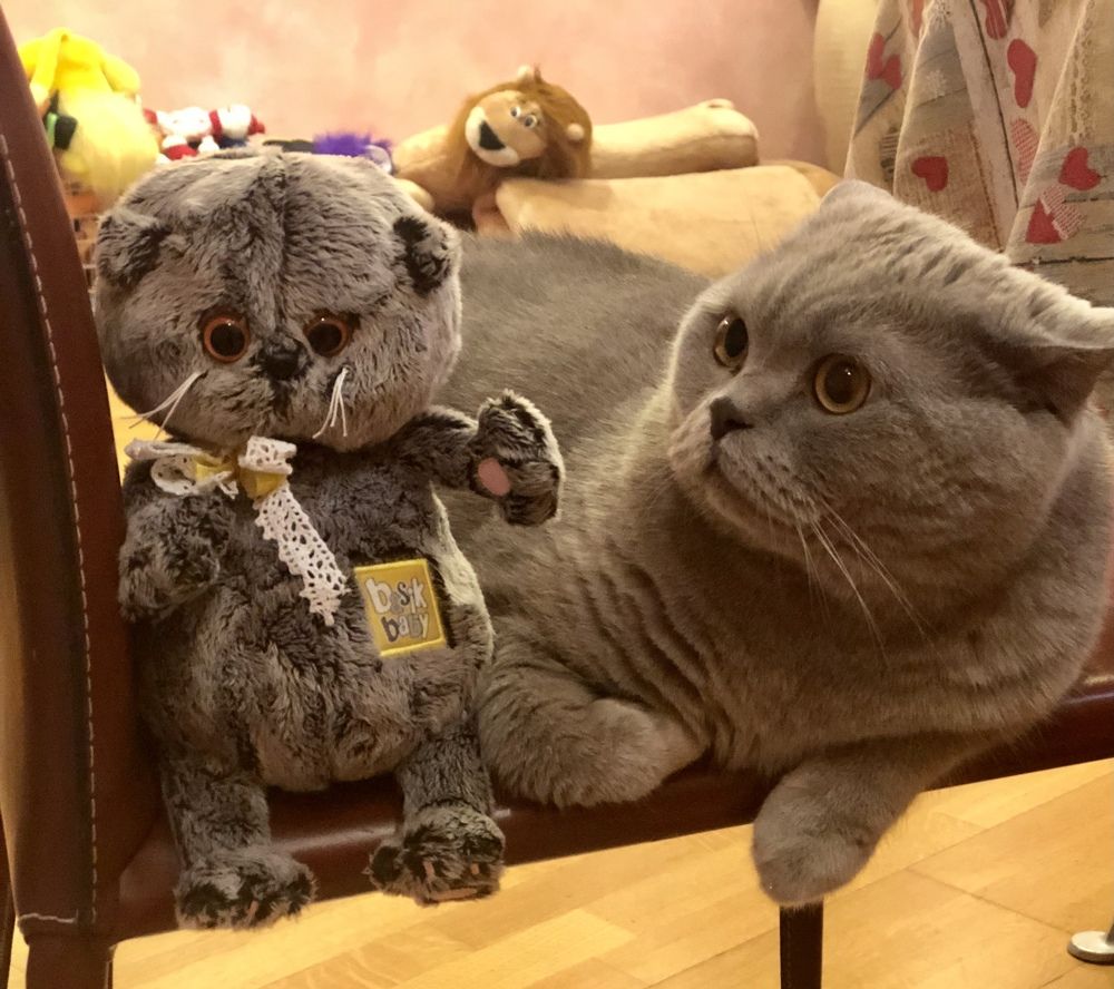 Photograph by Анна Вокина