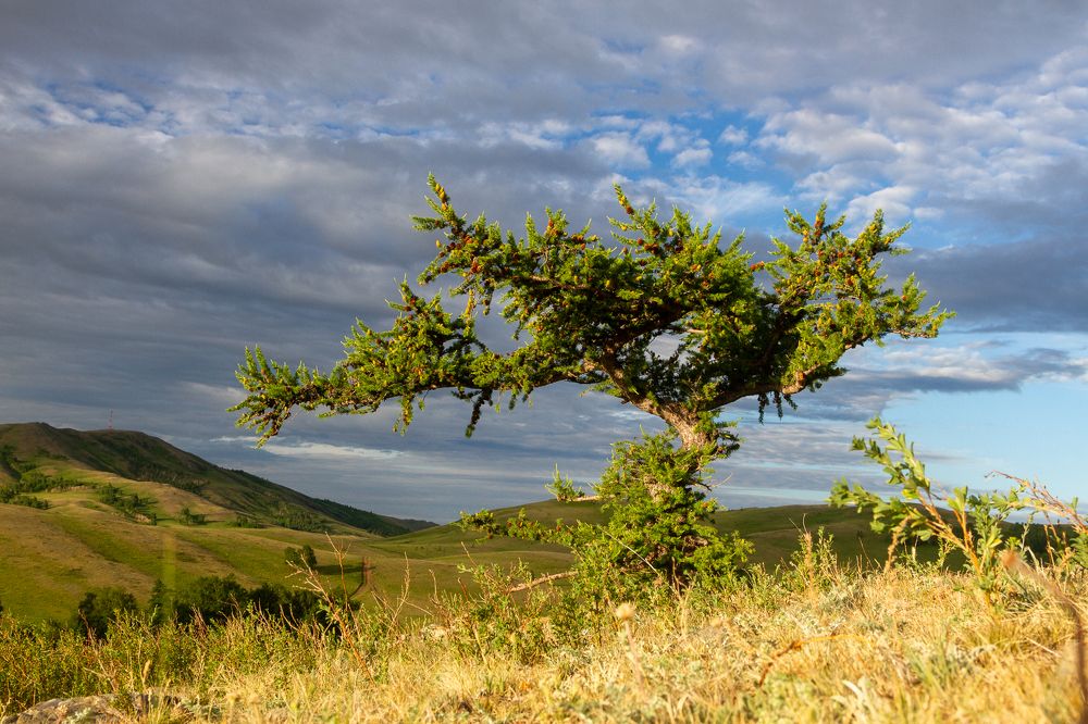 Photograph by Дмитрий Копылов