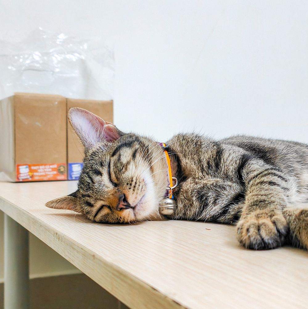 Photograph by lehuuhuy95