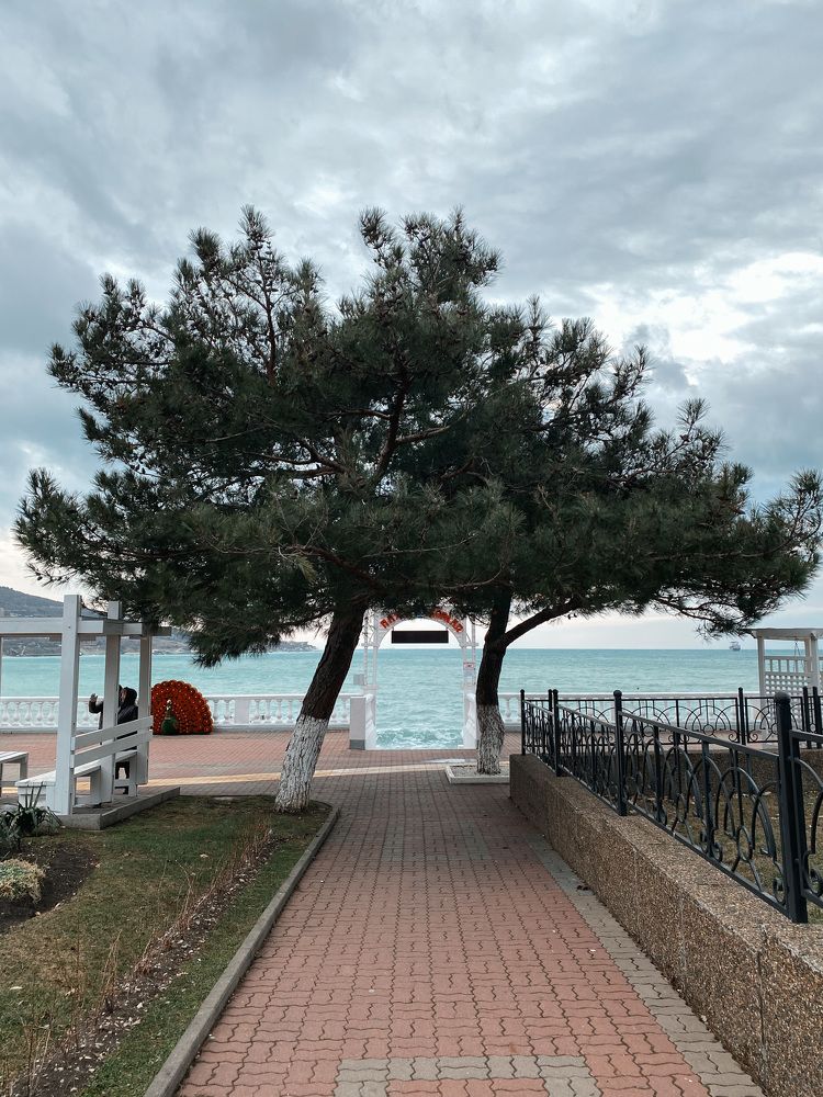 Photograph by Наталья Марчук