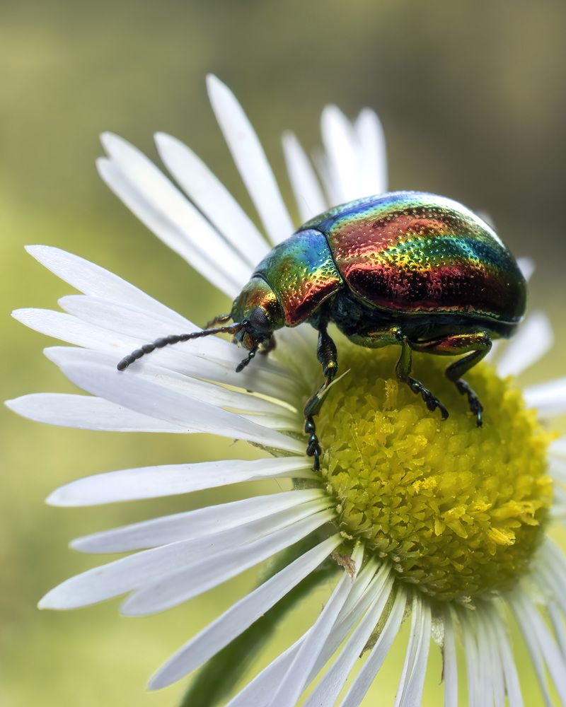 Photograph by Людмила Железнова