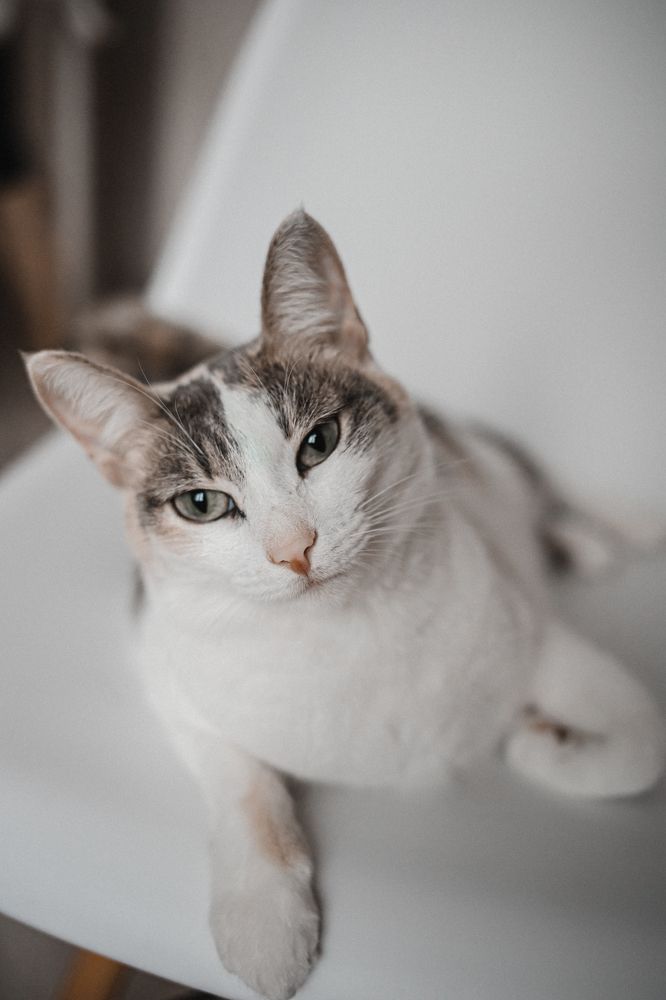 Photograph by Корчагина Оксана