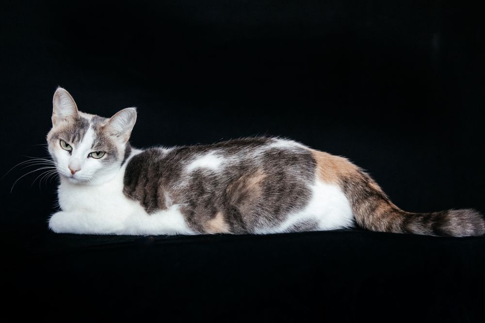 Photograph by Корчагина Оксана