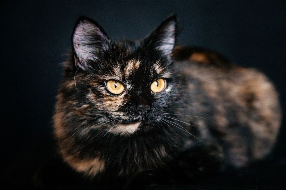 Photograph by Корчагина Оксана