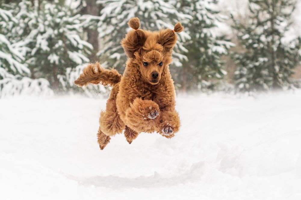 Photograph by Соколова Елена