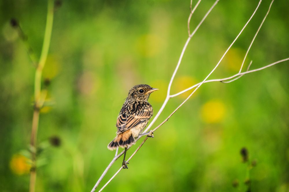 Photograph by Юлия Серазетдинова