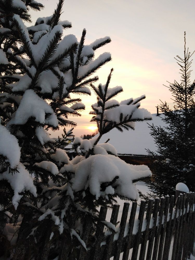 Photo #8863140