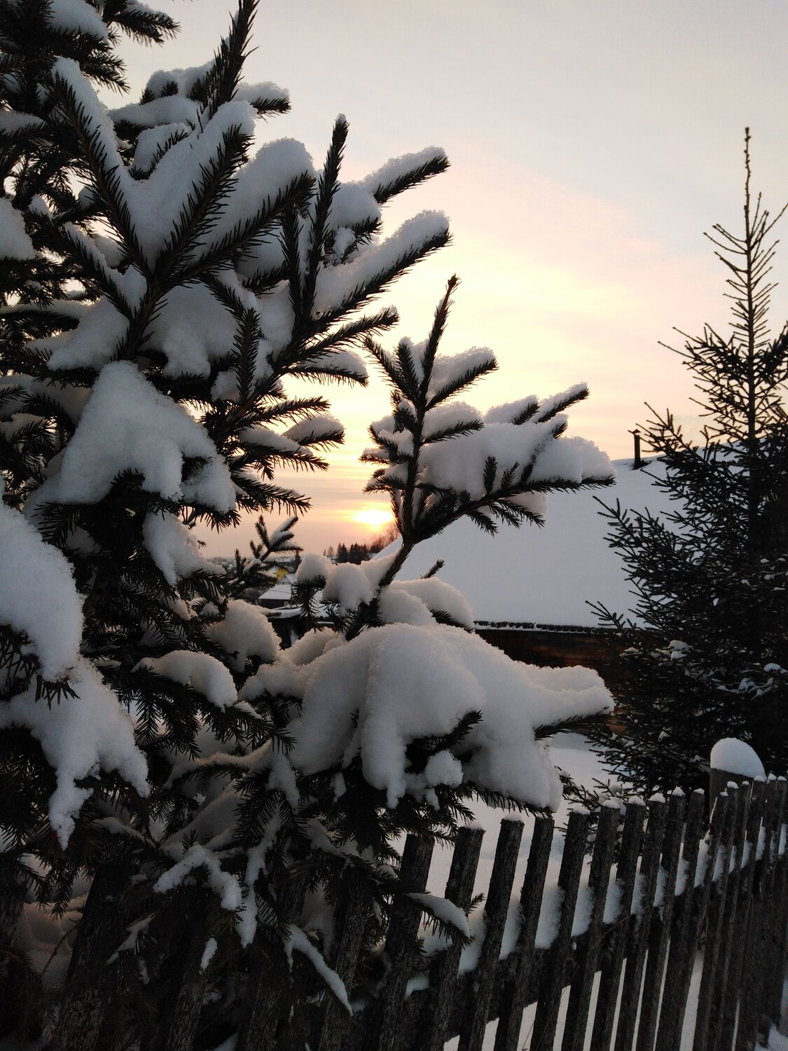 Photo #8863140