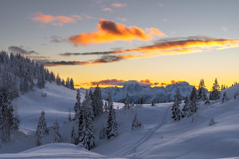 Фотография автора Liviu Ciprian Hiticas