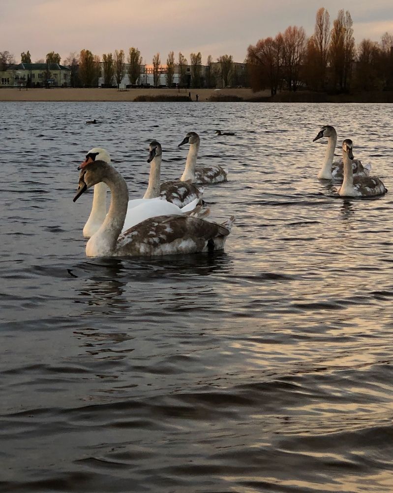 Photograph by Halina Mitsevich