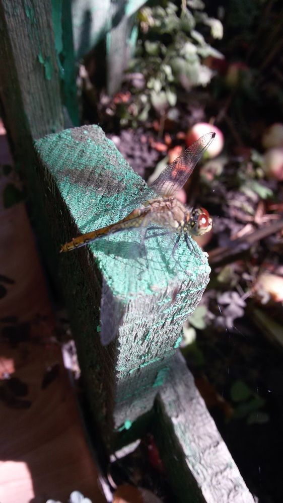 Photograph by Ирина Ахметова