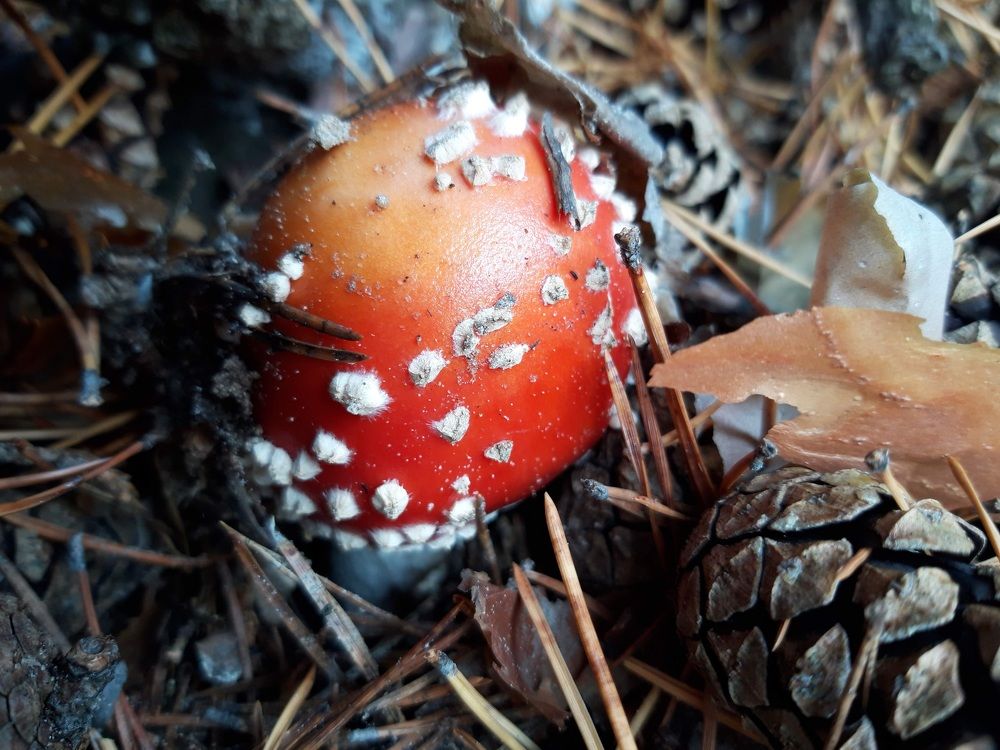 Photograph by Ирина Ахметова