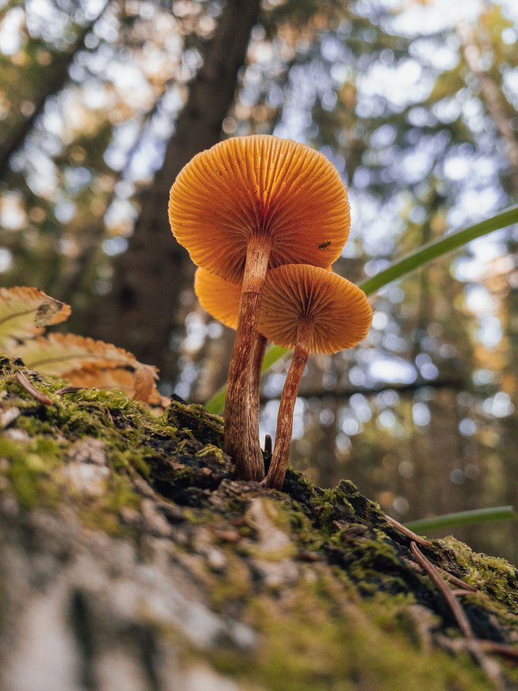 Photograph by  Михаил