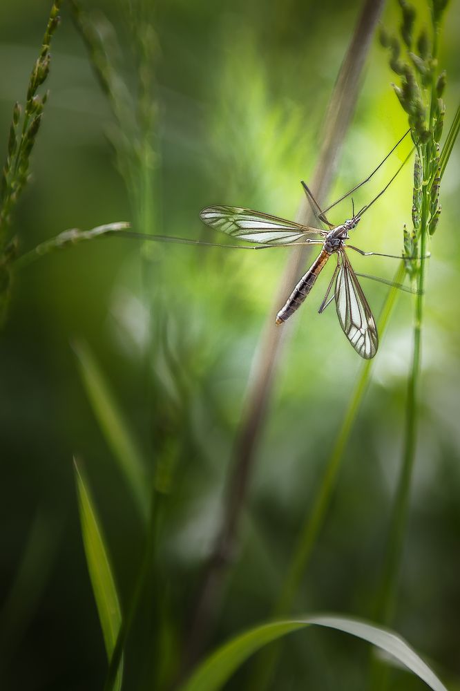 Photograph by Сергей Бурлакин