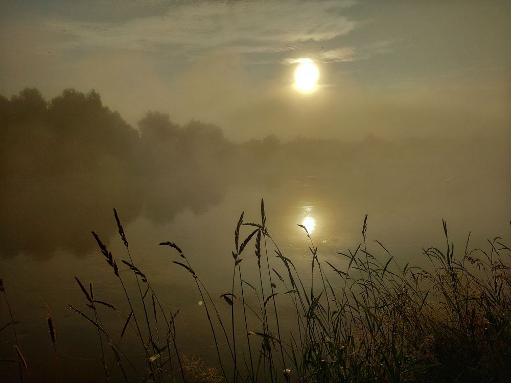 Туман на Днепре...